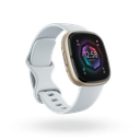 FitBit Sense2 Smartwatch | Blue Mist/Soft Gold
