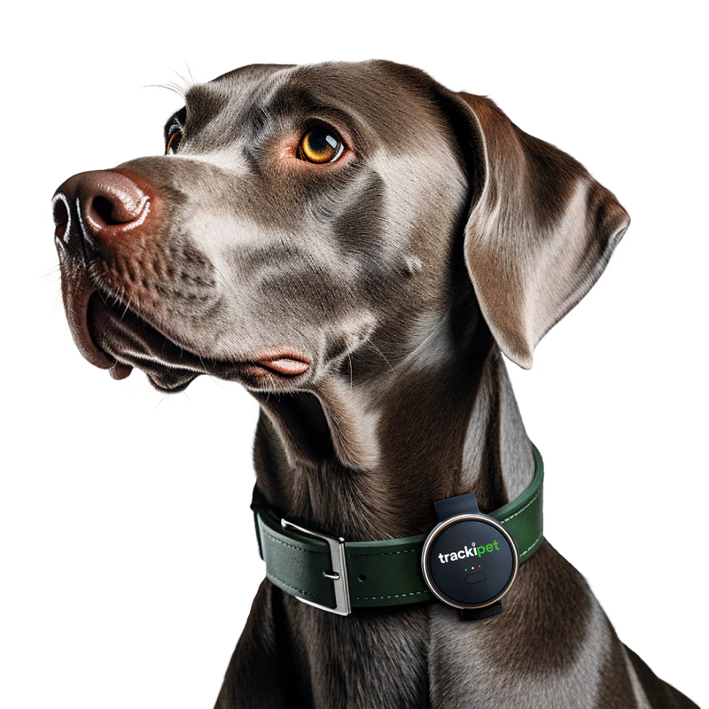 [E71021417] Tracki-Pet | Pet Location Tracker